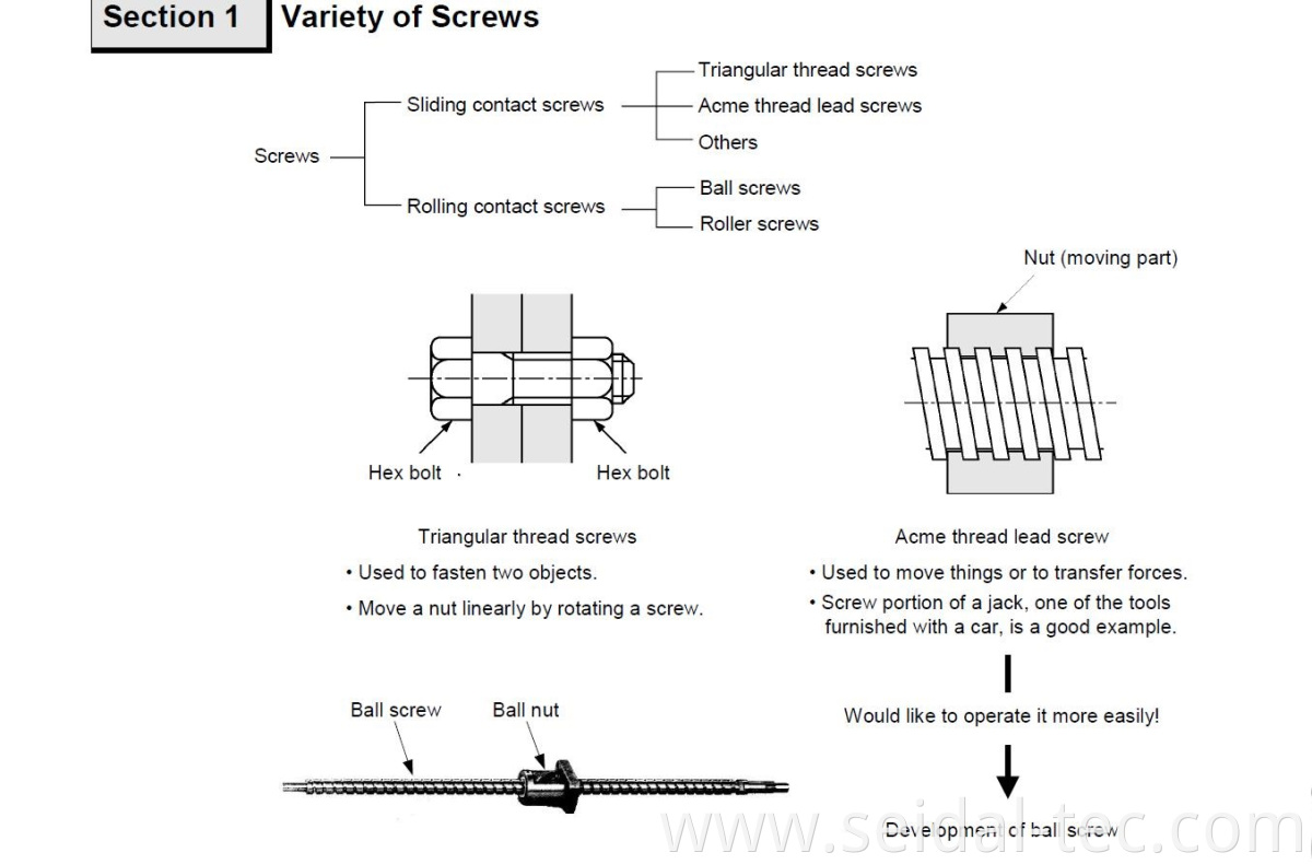 variety of screws